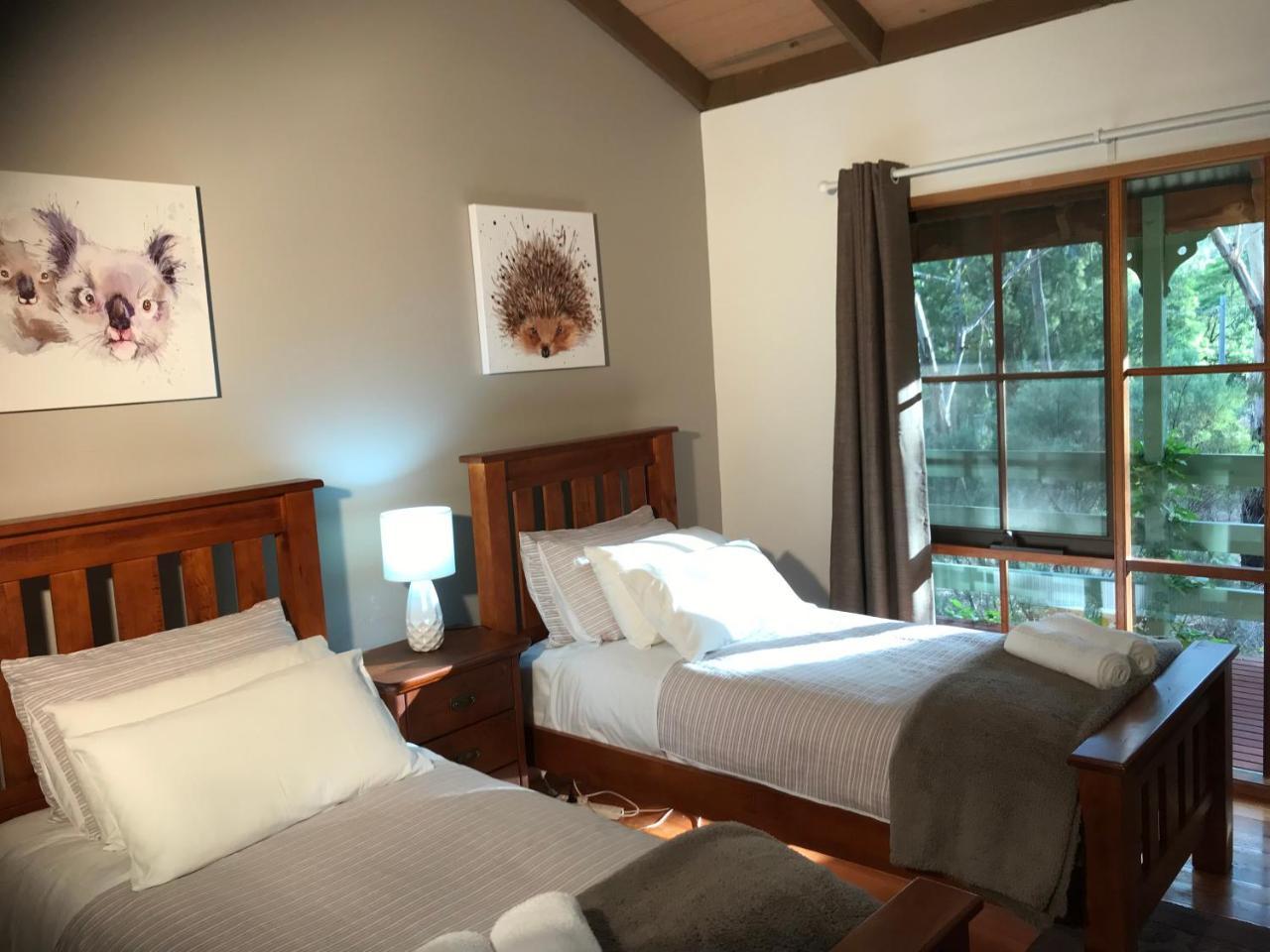 Day Dream Cottage Холс Гап Екстериор снимка