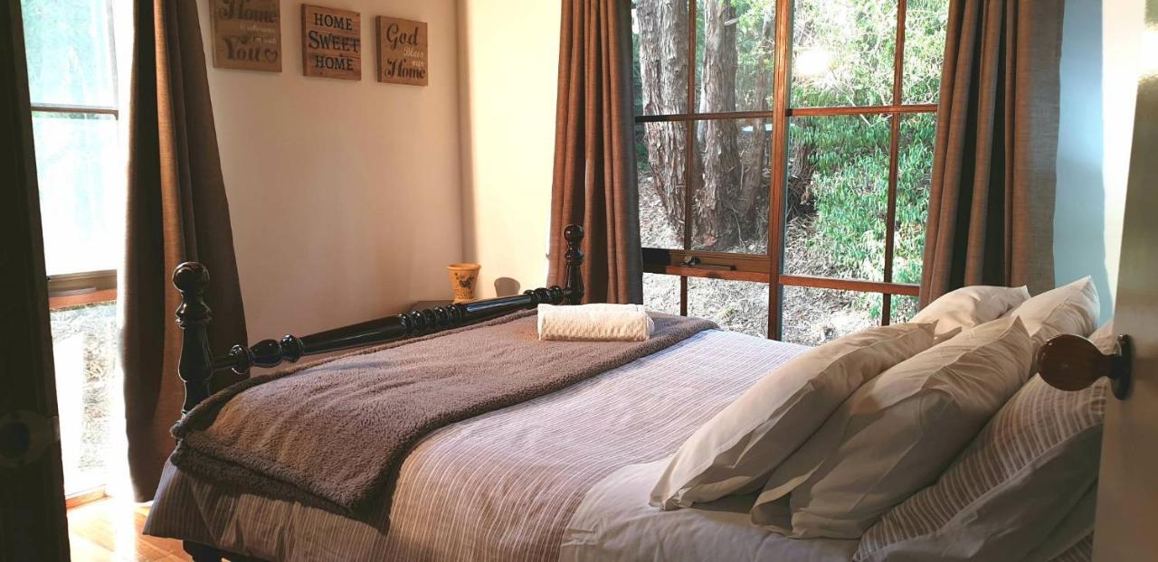 Day Dream Cottage Холс Гап Екстериор снимка