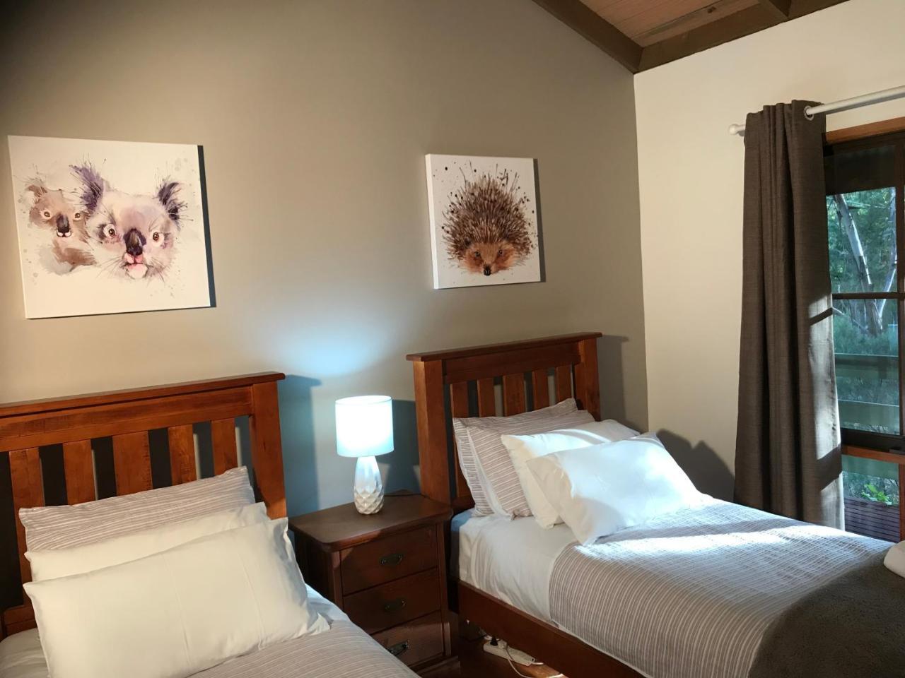 Day Dream Cottage Холс Гап Екстериор снимка